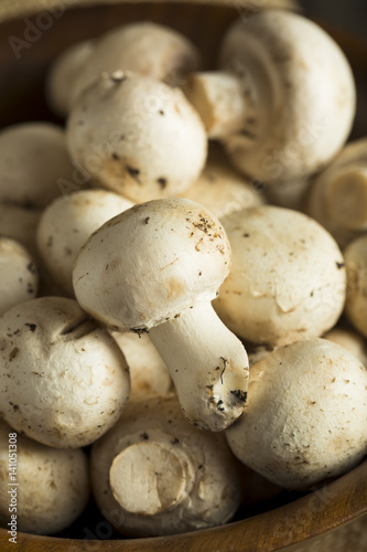 Raw Organic Baby Button Mushrooms