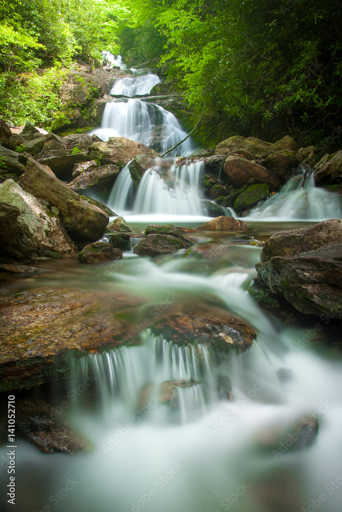 Fototapeta premium Waterfall flowing through lush spring growth