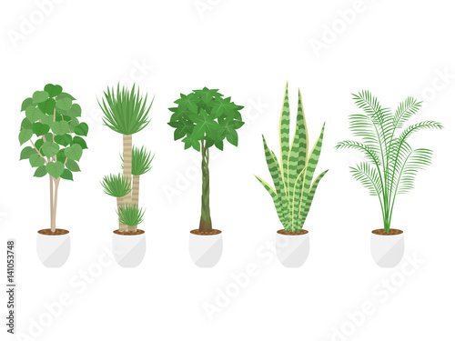 観葉植物のイラストセット