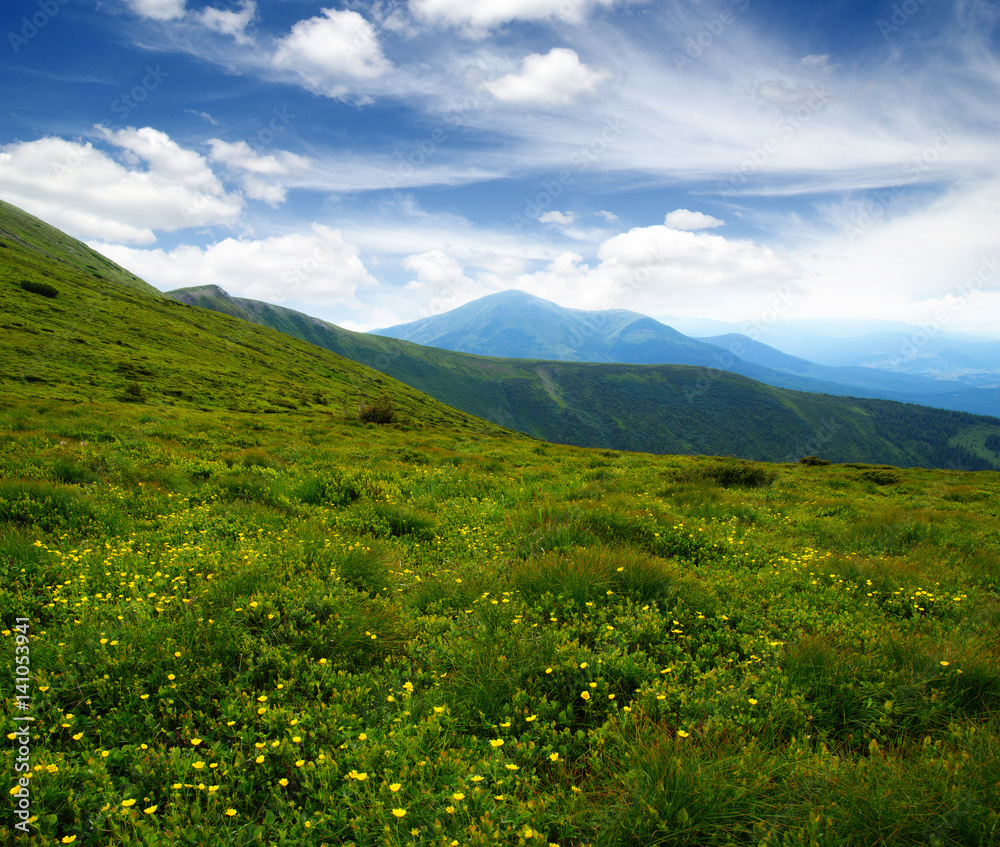 Mountain landscape in summer