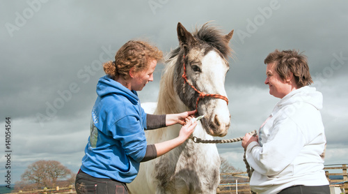 Routine wormer being administered to a horse