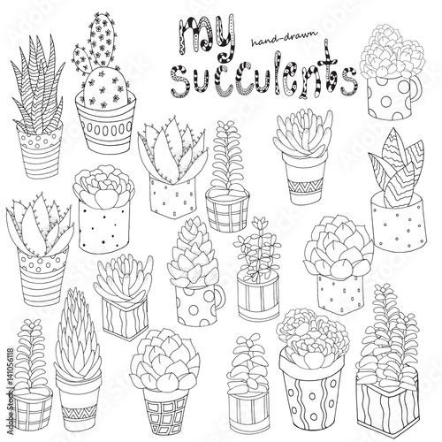 Hand drawn set of succulents, cactuses and pots.