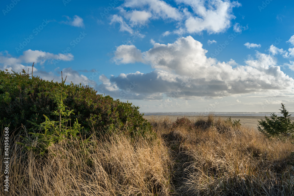 Fototapeta premium Beach Bluffs