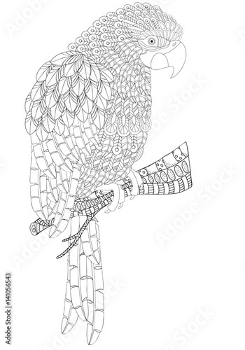 Fantastical Bird coloring book. Amazing parrot