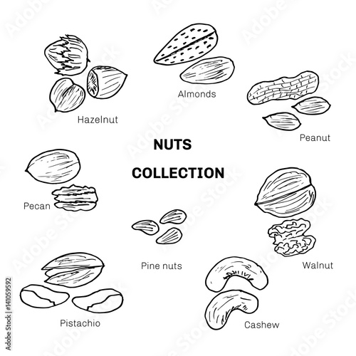 Set of different nuts