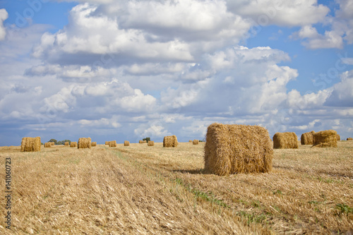 Harvest landscape with straw bales amongst fields in autumn, Belarus