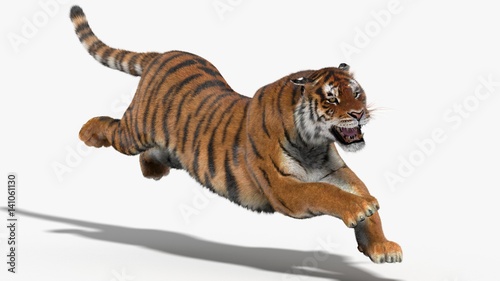 Fototapeta Naklejka Na Ścianę i Meble -  Tiger Amur (3D)
