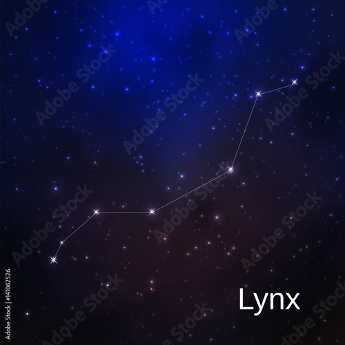 Constellation in the night starry sky