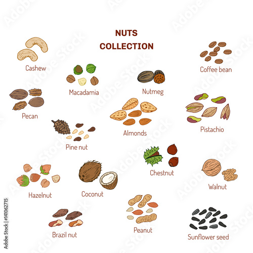 Set of nuts and seeds