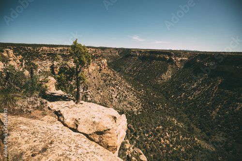Fotomurale green canyon