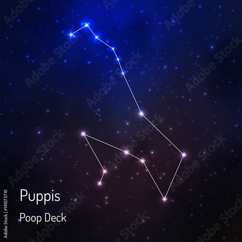  constellation in the night starry sky