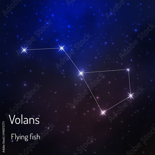  constellation in the night starry sky photo