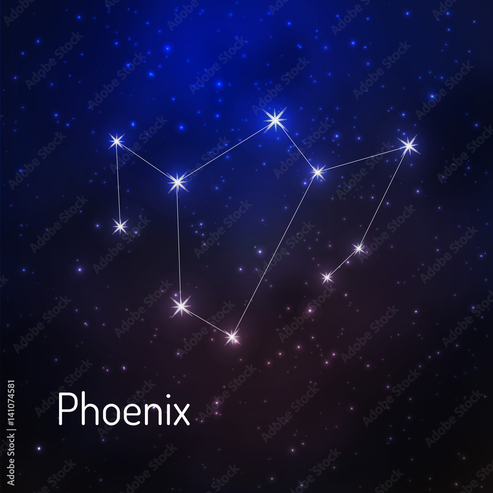 Fototapeta premium constellation in the night starry sky