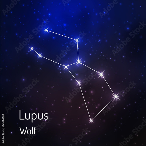 constellation in the night starry sky