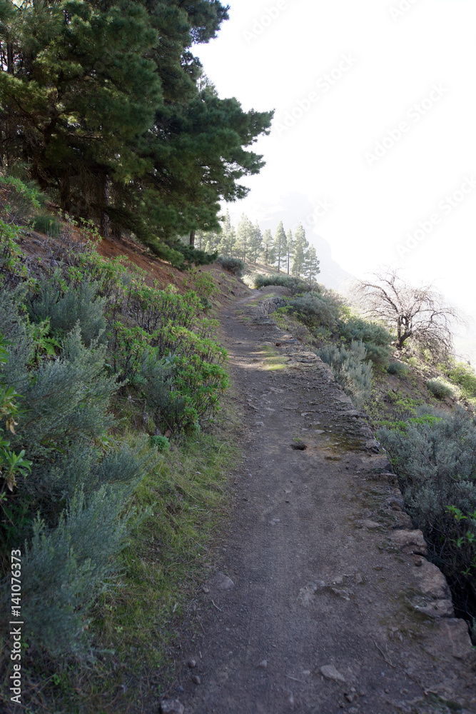 Wanderung nach La Culata Wanderung nach La Culata