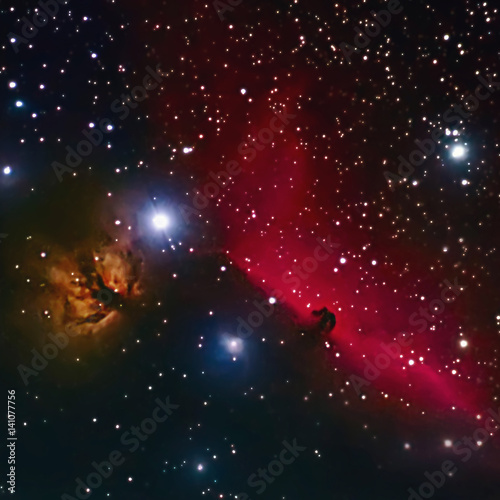 Fototapeta Naklejka Na Ścianę i Meble -  Horsehead and flaming tree nebula in space
