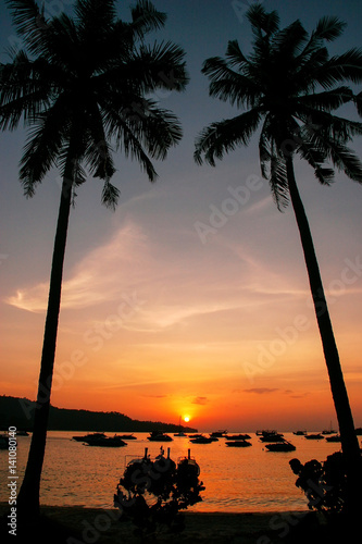Silhouetted palm trees and boats at sunrise on Ao Ton Sai  Phi Phi Don Island  Thailand