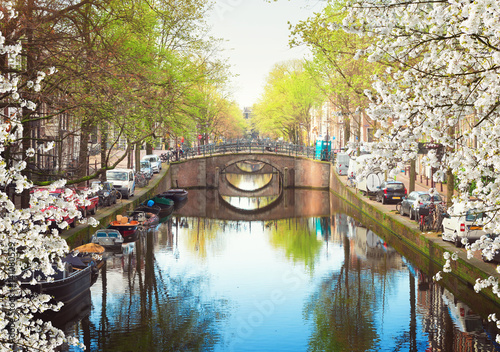 Photography row of bridges over canal with mirror reflections in water, Amsterdam in bloomin