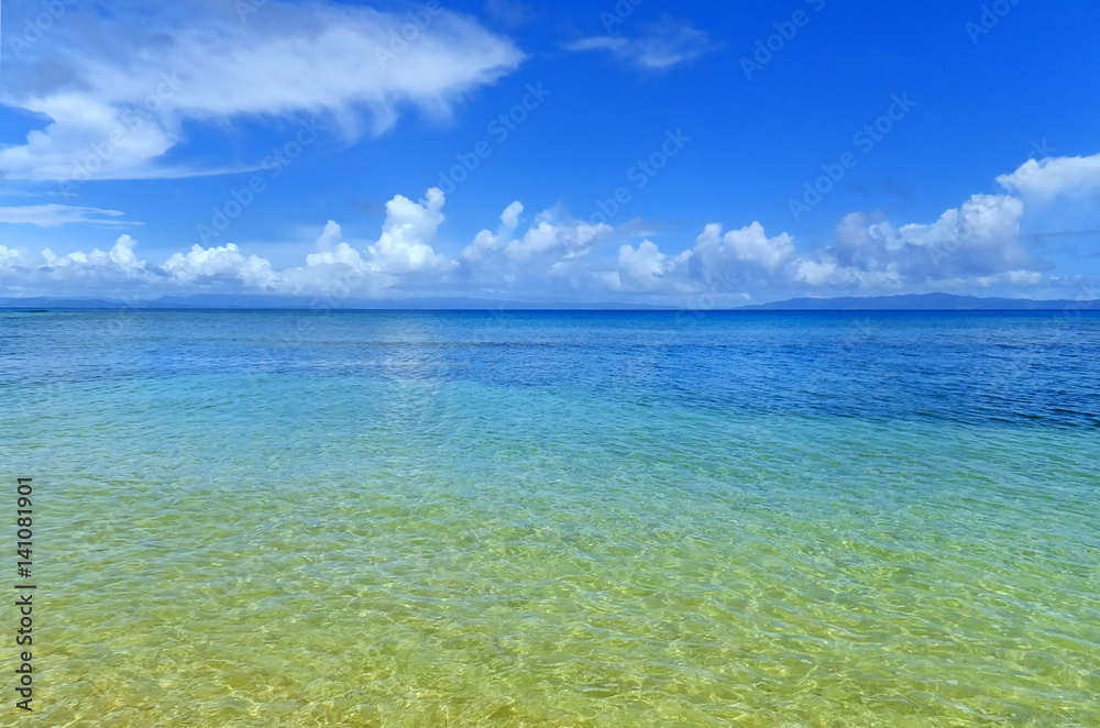 Clear water along the shore of Taveuni Island, Fiji