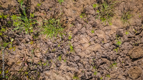 Texture of wet brown dirt mud