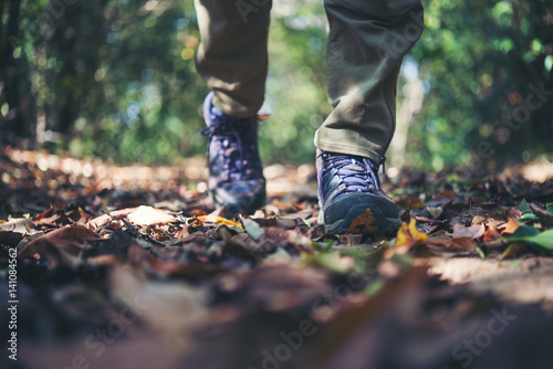 Female hiker feet walking on forest trail. Active woman traveling on the nature.