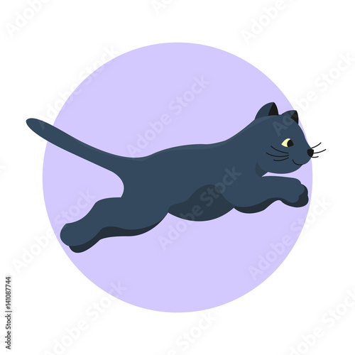 Cat breed cute kitten black pet portrait fluffy young adorable cartoon animal and pretty fun play feline sitting mammal domestic kitty vector illustration.