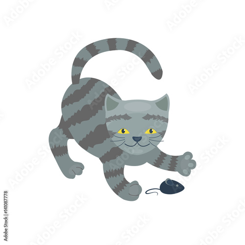 Cat breed cute kitten gray pet portrait fluffy young adorable cartoon animal and pretty fun play feline sitting mammal domestic kitty vector illustration.