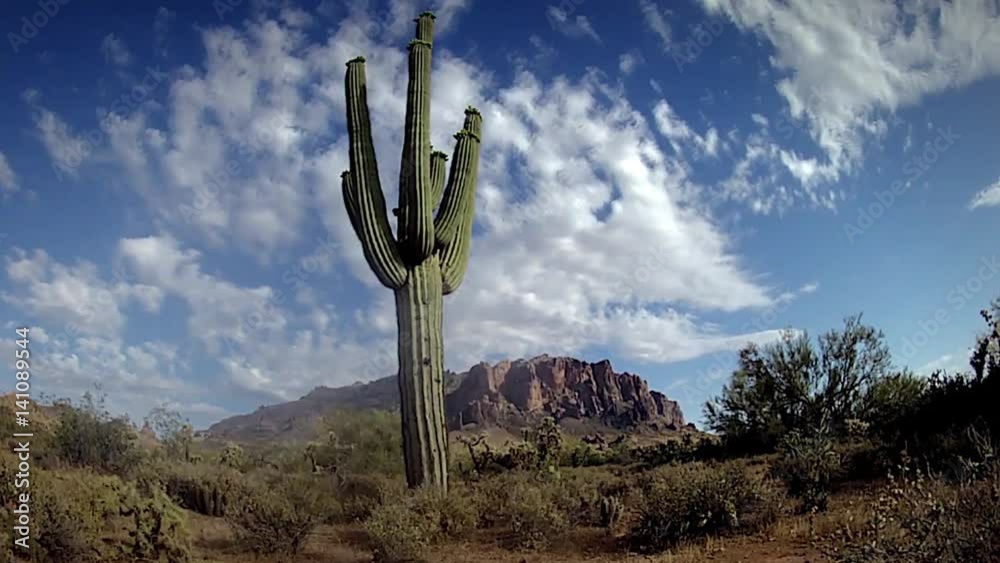 Time-lapse of the Sonoran Desert in Apache Junction, Arizona (Superstition Mountains in background). Clouds move by as the sun fades in and out on the giant, ancient saguaro cactus in the foreground.