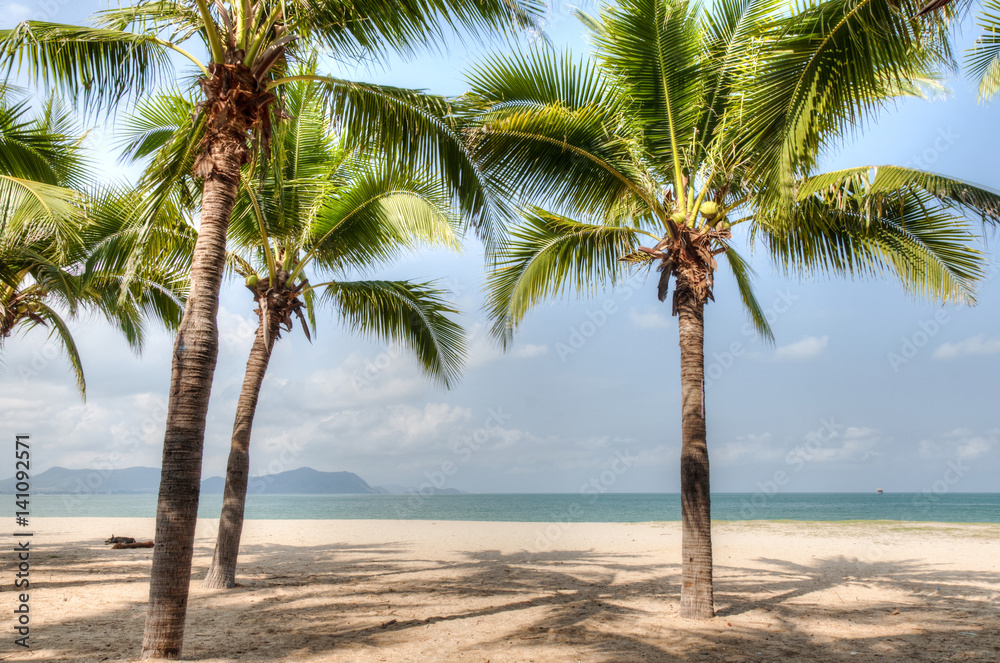 Fototapeta premium Green coconut palms on the beach