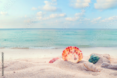 Concept of summertime on tropical beach. Seaside summer beach with starfish, shells, coral on sandbar and blur sea background. vintage color tone. © jakkapan