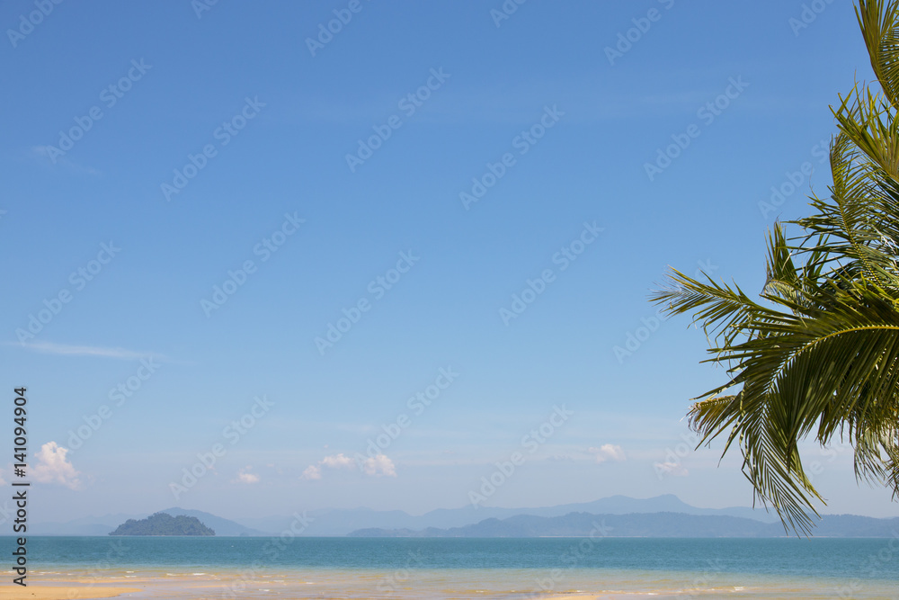 Relaxing scene, tropical beach with coconut palm tree