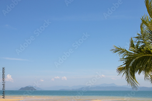 Relaxing scene  tropical beach with coconut palm tree