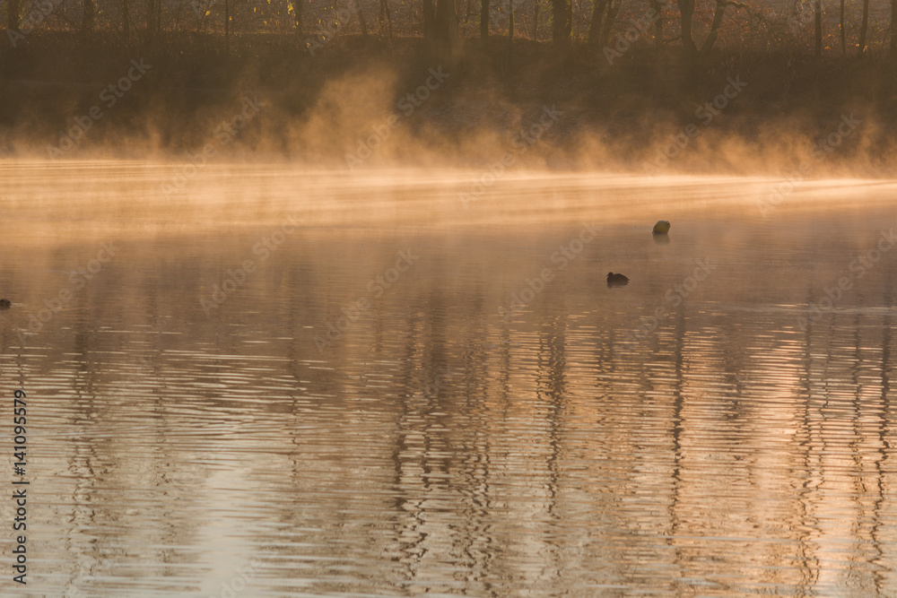 Abtskücher Teich im Stock Photo Adobe Stock