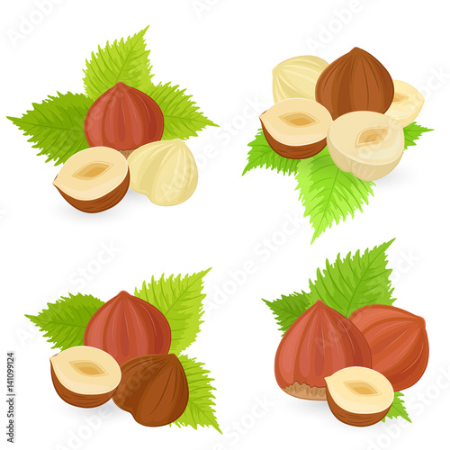 collection of hazelnuts for your design