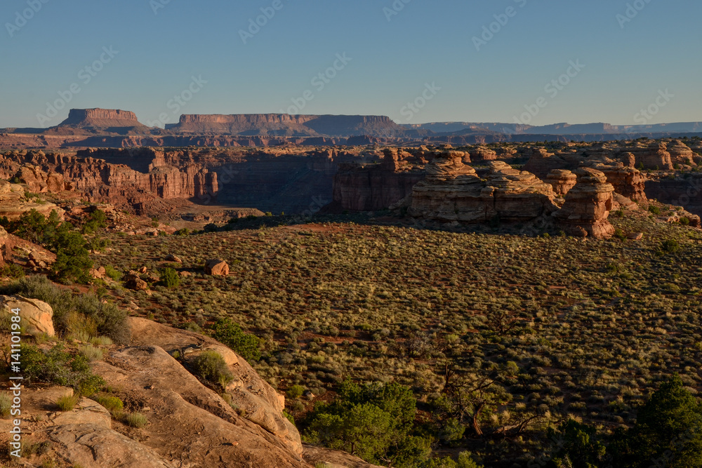 canyons and tablelands on Slickrock foot trail at sunrise with Island in the Sky district in the background 
Needles District of Canyonlands National Park, Utah, United States