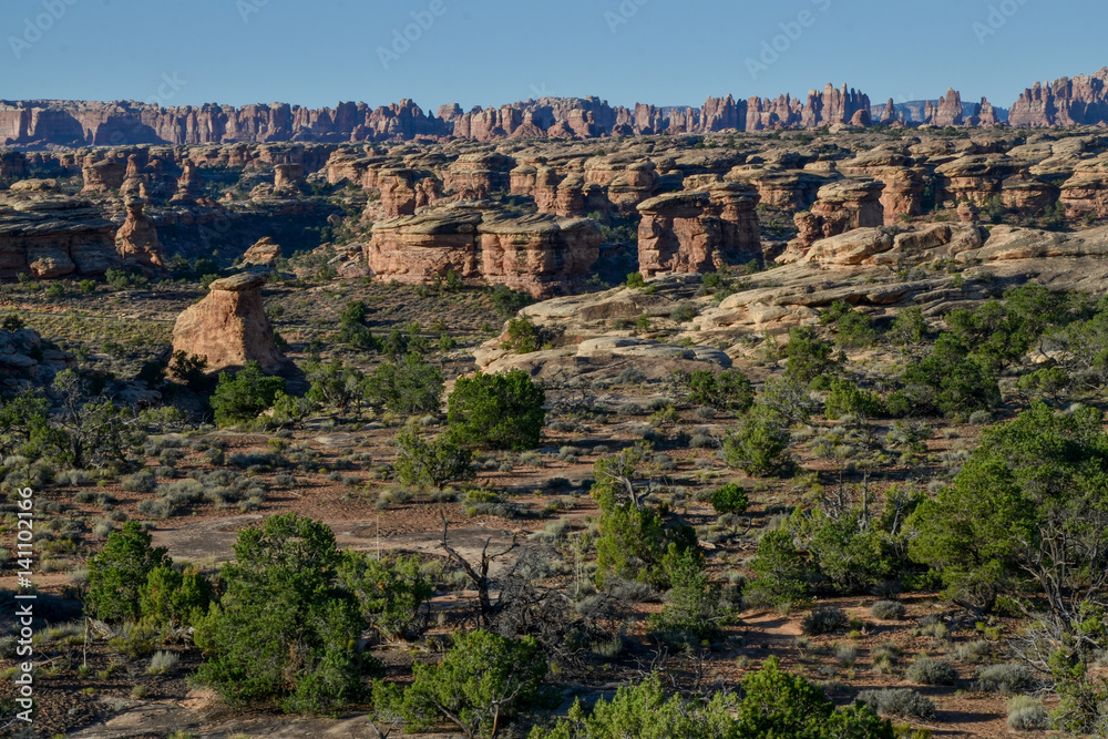 Needles sandstone spires and Big Spring Canyon in the morning viewed from Slickrock foot trail
Needles District of Canyonlands National Park, Utah, United States