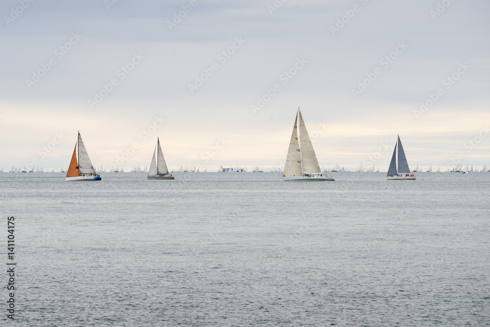 Fototapeta premium sea yachts racing
