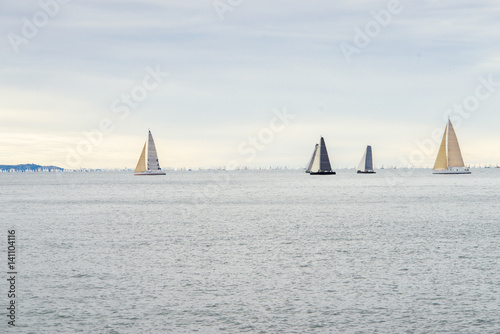 sea yachts regatta