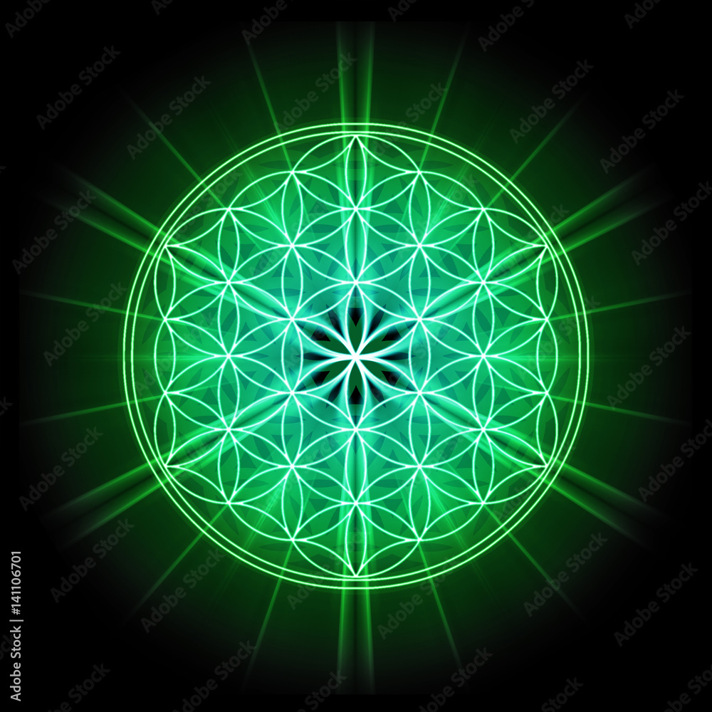 Sacred geometry Flower Life on black Background Sacred geometry Flower Life on black Background