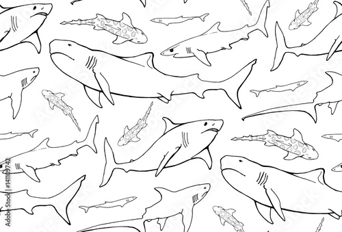 seamless pattern with  shark contours on white background