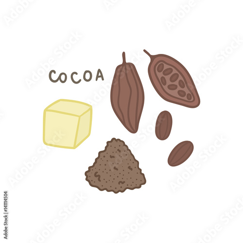 Cocoa superfood isolated on white. Vector hand drawn illustration