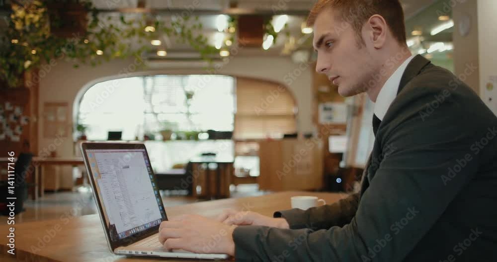 Portrait of a businessman working at a laptop Portrait of a businessman working at a laptop