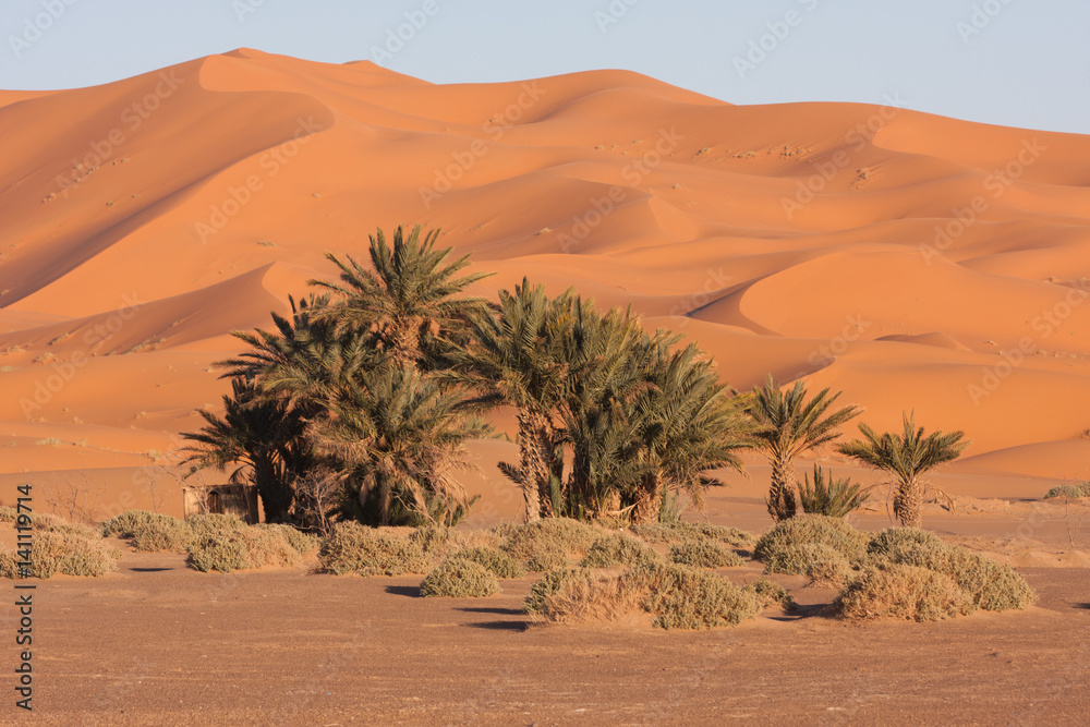 Dunes au Maroc