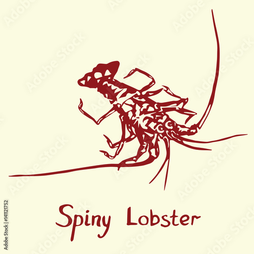 Spiny Lobster, with inscription, hand drawn doodle, sketch in pop art style, isolated vector illustration