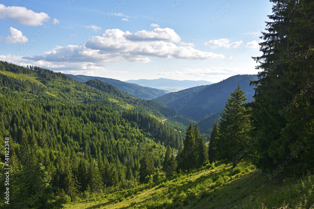 Fototapeta premium mountain landscape