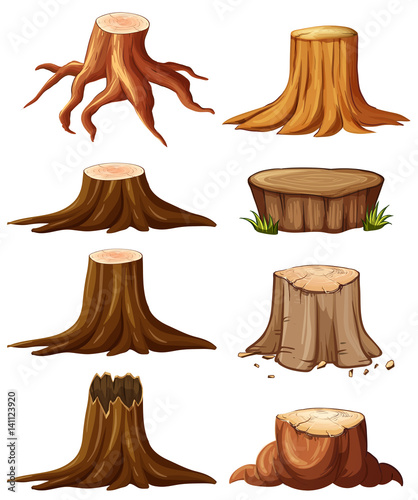 Different types of stumps photo