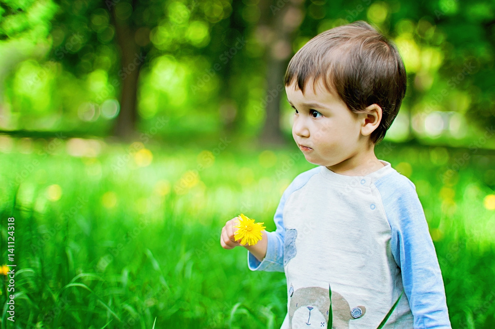 portrait of smiling baby boy with dandelion portrait of smiling baby boy with dandelion