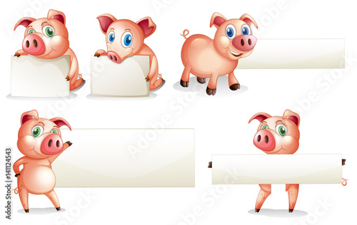 Paper template with pig