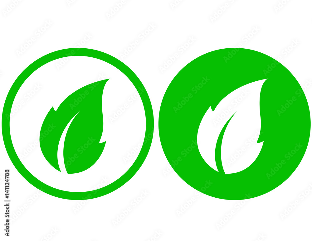 isolated leaf icon