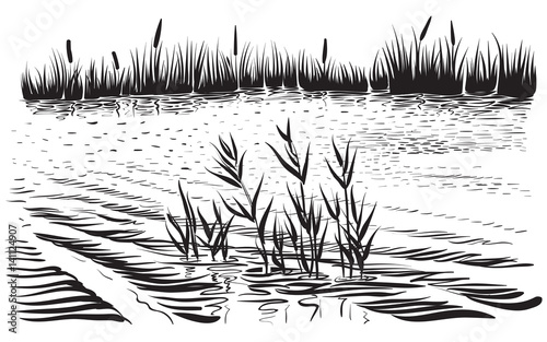 Vector illustration of river landscape with cattail and trees.